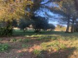Terrain à bâtir à Saint-Chamas (13250) 2127203-3263annonce320240326h2mQ3.jpeg Azur & Constructions