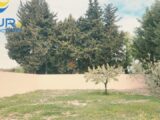 Terrain à bâtir à Salon-de-Provence (13300) 2131449-11320annonce220250412u7yDX.jpeg Azur & Constructions