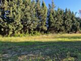Terrain à bâtir à Maussane-les-Alpilles (13520) 2158207-3643annonce220250108gzs9w.jpeg Azur & Constructions
