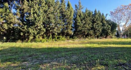 Maussane-les-Alpilles Terrain à bâtir - 2158207-3643annonce220250108gzs9w.jpeg Azur & Constructions