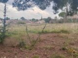 Maison à construire à Pélissanne (13330) 2162980-3263annonce32025010677I6x.jpeg Azur & Constructions