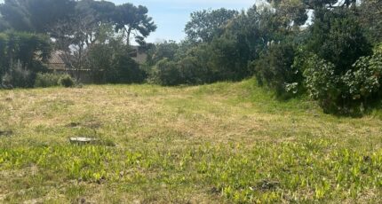 Sausset-les-Pins Maison neuve - 2120014-3263annonce220250328UzwWq.jpeg Azur & Constructions