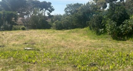 Sausset-les-Pins Terrain à bâtir - 2120049-11044annonce320250328QlJDb.jpeg Azur & Constructions