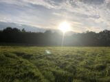 Maison à construire à Roquevaire (13360) 2148016-11044annonce120250504tQEbZ.jpeg Azur & Constructions