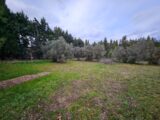 Terrain à bâtir à Maussane-les-Alpilles (13520) 2150216-10197annonce120250110Q2wnI.jpeg Azur & Constructions