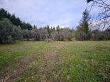 Terrain à bâtir à Maussane-les-Alpilles (13520) 2150216-10197annonce3202501101e8LO.jpeg Azur & Constructions