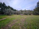 Terrain à bâtir à Maussane-les-Alpilles (13520) 2150216-10197annonce420250110N50f5.jpeg Azur & Constructions