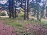 Terrain à bâtir à La Barben (13330) 2150241-10197annonce220250107kcshk.jpeg Azur & Constructions