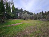 Maison à construire à Maussane-les-Alpilles (13520) 2150218-10197annonce220250110CbsEE.jpeg Azur & Constructions