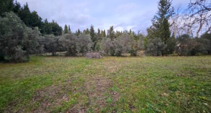 Array Maison neuve - 2150218-10197annonce3202501101e8LO.jpeg Azur & Constructions