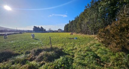 Array Maison neuve - 2150238-10197annonce220250110X06wP.jpeg Azur & Constructions