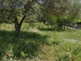 Maison à construire à Istres (13800) 2147614-11044annonce120250502kryNK.jpeg Azur & Constructions