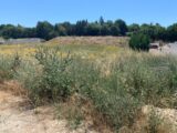 Maison à construire à Pourrières (83910) 2147551-11044annonce120250502bG0Lz.jpeg Azur & Constructions