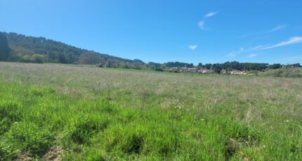 Allauch Maison neuve - 2147728-11044annonce12025050395zfA.jpeg Azur & Constructions