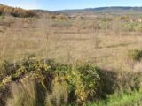 Terrain à bâtir à Rognes (13840) 2154628-3643annonce420250116QokFD.jpeg Azur & Constructions