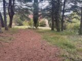 Terrain à bâtir à Pélissanne (13330) 2143317-3263annonce420250106dz6nq.jpeg Azur & Constructions