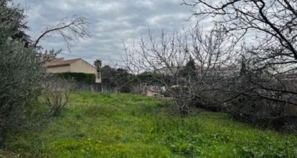 Allauch Terrain à bâtir - 2146426-3263annonce1202409174cVb6.jpeg Azur & Constructions