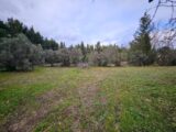 Terrain à bâtir à Maussane-les-Alpilles (13520) 2146433-3263annonce220250110EMXI7.jpeg Azur & Constructions