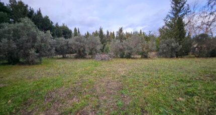 Maussane-les-Alpilles Terrain à bâtir - 2146433-3263annonce220250110EMXI7.jpeg Azur & Constructions