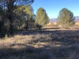 Terrain à bâtir à Cadenet (84160) 2147155-11044annonce220250502KKcDt.jpeg Azur & Constructions