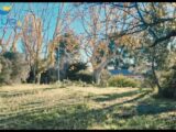 Terrain à bâtir à Maussane-les-Alpilles (13520) 2170845-11320annonce420250526Fcswe.jpeg Azur & Constructions