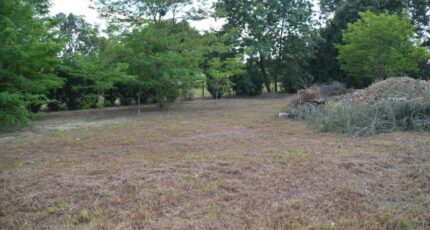 Sénas Terrain à bâtir - 2212471-11369annonce120250703AXvaP.jpeg Azur & Constructions