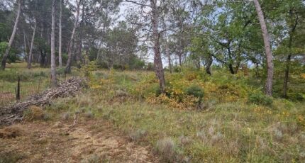 Fuveau Terrain à bâtir - 2318239-10197annonce420251026wJMvS.jpeg Azur & Constructions