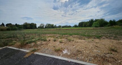 Saint-Martin-de-Crau Maison neuve - 2254565-10197annonce220250829TrXuM.jpeg Azur & Constructions