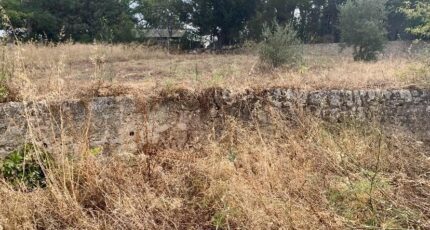 Allauch Terrain à bâtir - 2305428-3263annonce320241112CLRsX.jpeg Azur & Constructions