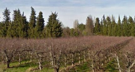 Sénas Terrain à bâtir - 2276874-3643annonce320250116rIPSq.jpeg Azur & Constructions