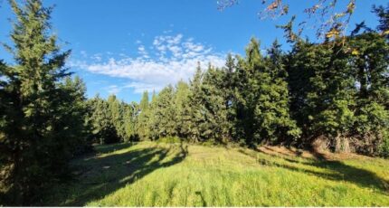 Maussane-les-Alpilles Terrain à bâtir - 2320538-3643annonce320250108tVTrD.jpeg Azur & Constructions