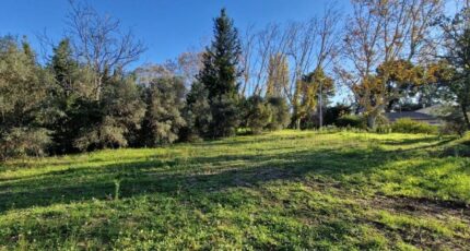 Maussane-les-Alpilles Terrain à bâtir - 2320551-3643annonce120251029i3Lov.jpeg Azur & Constructions