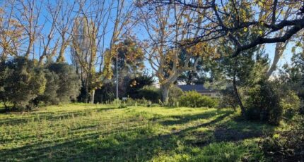 Maussane-les-Alpilles Terrain à bâtir - 2320551-3643annonce420251029N0bBl.jpeg Azur & Constructions