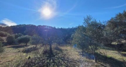 Cuges-les-Pins Terrain à bâtir - 2255913-3263annonce420240603JbESE.jpeg Azur & Constructions