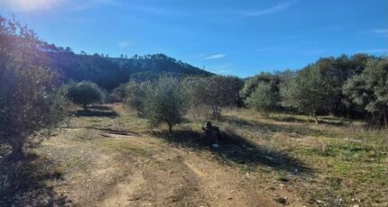 Cuges-les-Pins Terrain à bâtir - 2256001-3263annonce120240603B6KoA.jpeg Azur & Constructions