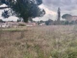 Terrain à bâtir à Pélissanne (13330) 2256026-3263annonce220250106o2HK7.jpeg Azur & Constructions