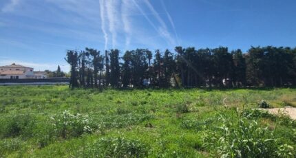 Sénas Maison neuve - 2287803-3263annonce320250930saTF3.jpeg Azur & Constructions