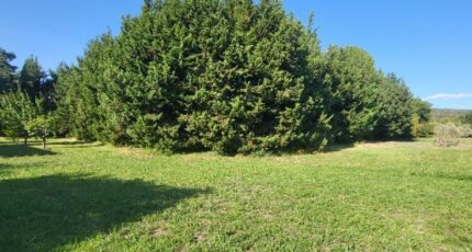 Eyguières Terrain à bâtir - 2284259-11320annonce120250925hSdBp.jpeg Azur & Constructions