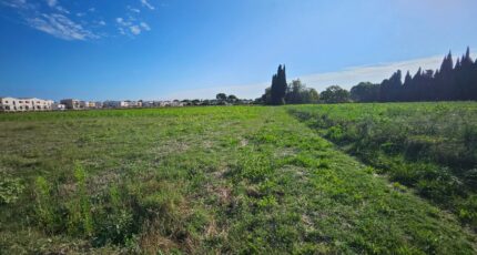 Saint-Étienne-du-Grès Maison neuve - 2267481-10197annonce320250911zBkHL.jpeg Azur & Constructions