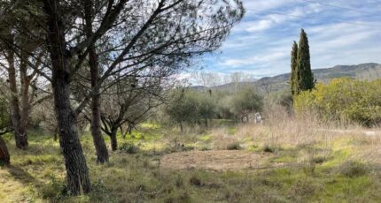 Eyguières Terrain à bâtir - 2267565-3643annonce420241010Mh0qo.jpeg Azur & Constructions