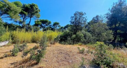 Martigues Terrain à bâtir - 2337444-11369annonce22025111388kzp.jpeg Azur & Constructions