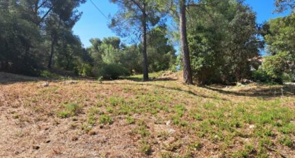 Martigues Maison neuve - 2337445-11369annonce120251113QOd4n.jpeg Azur & Constructions