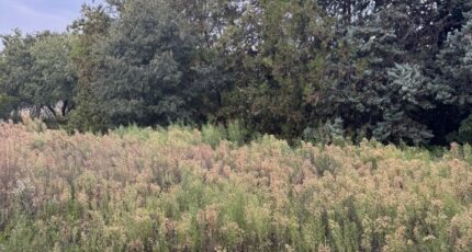 Saint-Mitre-les-Remparts Terrain à bâtir - 2342860-3263annonce320251119mw4qc.jpeg Azur & Constructions