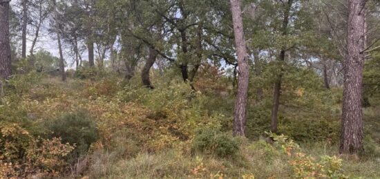 Terrain à bâtir à , Bouches-du-Rhône