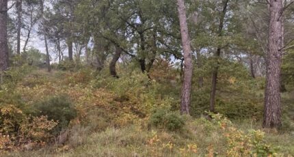 Fuveau Terrain à bâtir - 2314918-3263annonce420251023QeTKi.jpeg Azur & Constructions