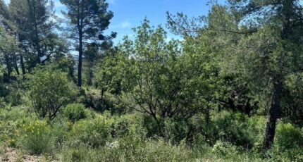 La Bouilladisse Terrain à bâtir - 2314948-3263annonce120240611m2OJQ.jpeg Azur & Constructions