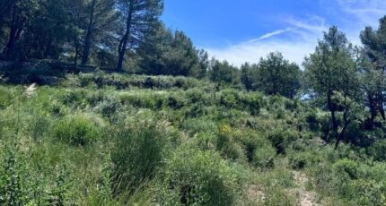 La Bouilladisse Terrain à bâtir - 2314948-3263annonce2202406111hgG7.jpeg Azur & Constructions