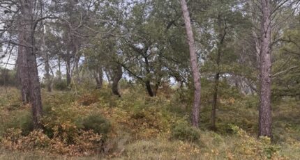 Fuveau Maison neuve - 2314912-3263annonce120251023AnIIR.jpeg Azur & Constructions