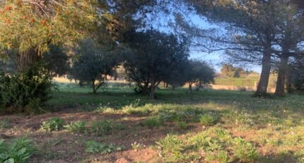 Saint-Chamas Maison neuve - 2314895-3263annonce220250312eH3Ul.jpeg Azur & Constructions