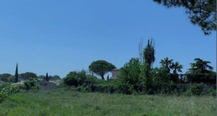 Pélissanne Terrain à bâtir - 2272494-3643annonce120241219NlBTL.jpeg Azur & Constructions